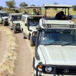 3 Days Safari Tour to Serengeti National Park - Key Points