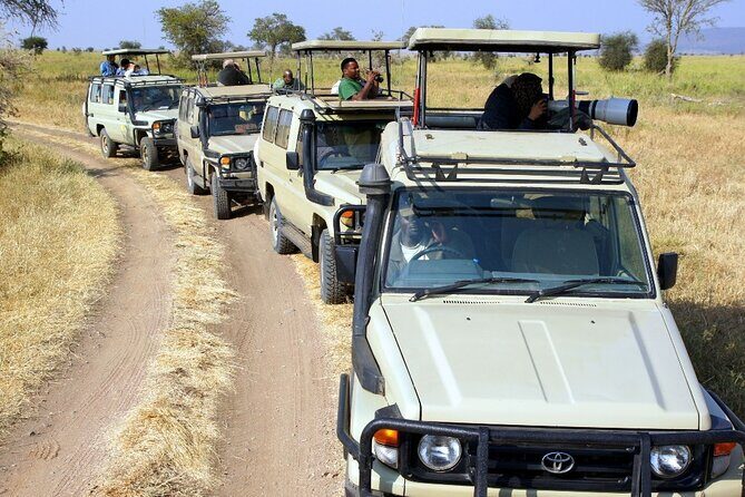 3 Days Safari Tour to Serengeti National Park - Key Points