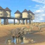 3 Days Safari Tsavo East and Taita Hills Saltlick Lodge - Authentic Encounters: What Reviewers Say