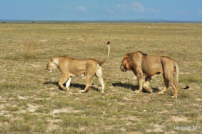 3 days safari Tsavo East and Taita hills (Saltlick lodge) - Final Thoughts