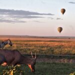3 Days Serengeti and Ngorongoro Crater Safari from Mwanza to Arusha - What We Love About This Tour