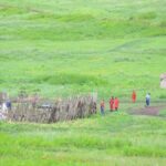 3 Days Serengeti & Ngorongoro Crater group safari - The Experience from Review Insights
