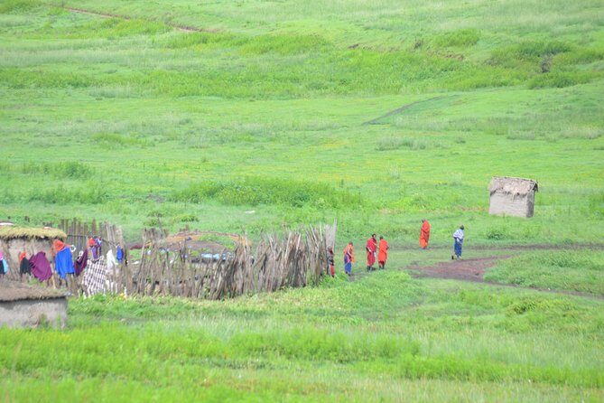 3 Days Serengeti & Ngorongoro Crater group safari - The Experience from Review Insights