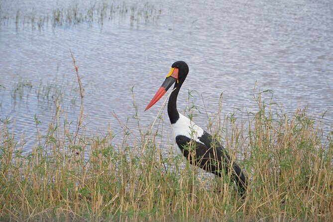 3 Days Serengeti & Ngorongoro Group Camping Safari - Why This Tour Offers Real Value