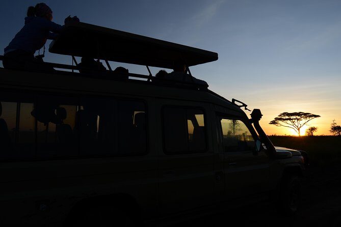3 Days Serengeti & Ngorongoro Lodge Safari - Why This Tour Excels