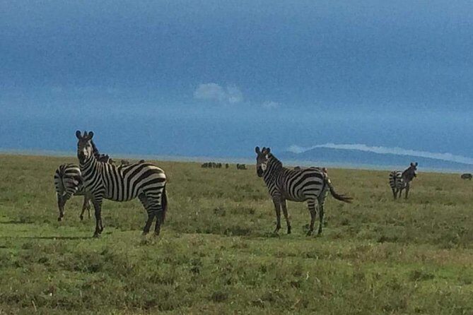 3 Days Serengeti & Ngorongoro Tour - The Itinerary in Detail