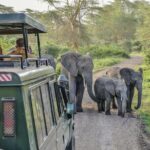 3 Days Serengeti Park & Ngorongoro Crater Adventure Safari - Why This Tour Offers Great Value