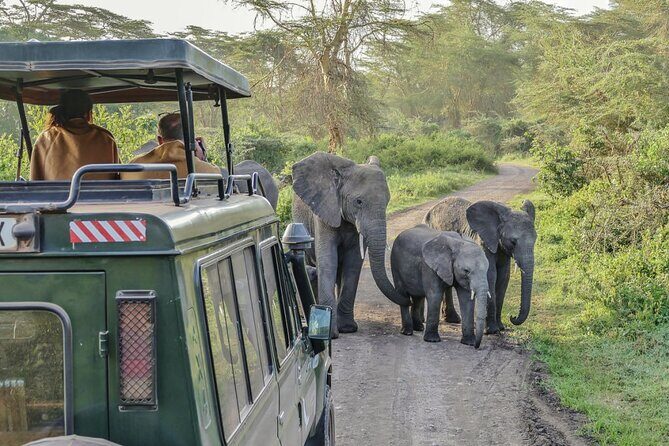 3 Days Serengeti Park & Ngorongoro Crater Adventure Safari - Why This Tour Offers Great Value