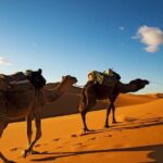 3-days shared Merzouga desert tour from Marrakech - Transportation and Accommodation