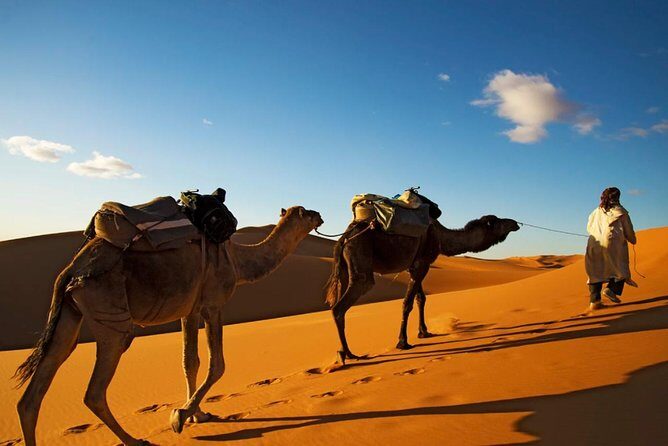 3-days shared Merzouga desert tour from Marrakech - Transportation and Accommodation