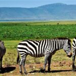 3 Days Tanzania Safari - Who Is This Safari Best For?