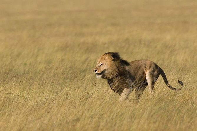 3 Days Tanzania Short and Spicy - The itinerary in detail