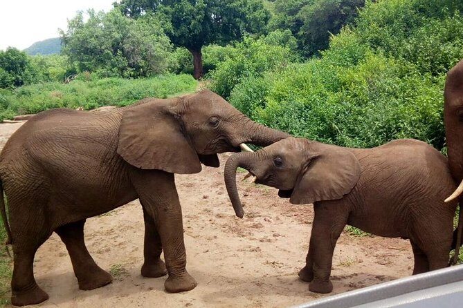 3 - Days Tanzania Wildlife Safari - Practical Tips for Your Safari