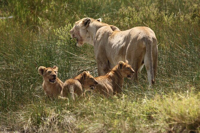3 Days Tarangire, Ngorongoro & Lake Manyara Group Camping Safari - Frequently Asked Questions