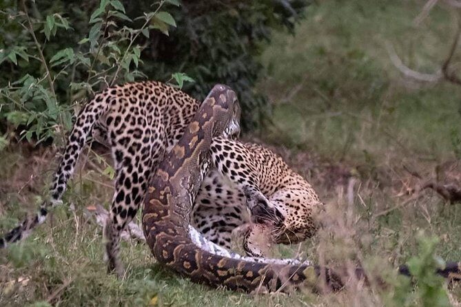 3 Days to Maasai Mara N/R. - Key Points