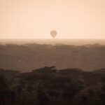 3 days to Serengeti NP and Ngorongoro Crater Tour in Tanzania - The Itinerary Breakdown: What to Expect Each Day