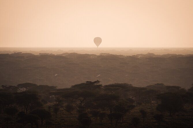 3 days to Serengeti NP and Ngorongoro Crater Tour in Tanzania - The Itinerary Breakdown: What to Expect Each Day