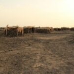 3 days tour Danakil Depression (Dallol & Erta Ale) - An In-Depth Look at the 3-Day Danakil Depression Tour