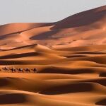 3 days tour from Marrakech to Merzouga desert - The Transport and Group Size