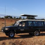 3 Days Tsavo East & West Safari from Diani Beach Mombasa - Authentic Insights from Reviews