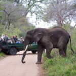 3-Days Ultra Luxury Safari at Kapama River Lodge - What Makes Kapama River Lodge Stand Out?