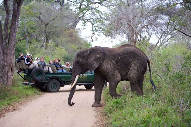 3-Days Ultra Luxury Safari at Kapama River Lodge - What Makes Kapama River Lodge Stand Out?