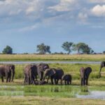 3 Days Unforgettable Masai Mara Safari Tour - Who Is This Safari Best For?