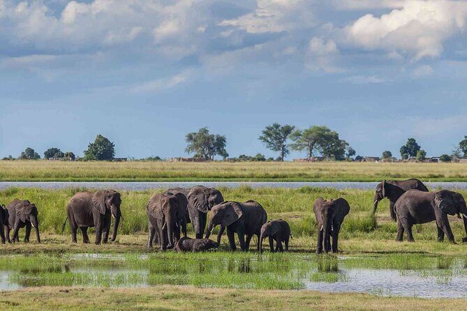 3 Days Unforgettable Masai Mara Safari Tour - Who Is This Safari Best For?
