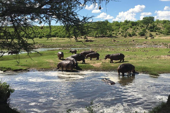 3 Days Unique safari Selous Game Reserve Tanzania - Practical Tips for Your Safari