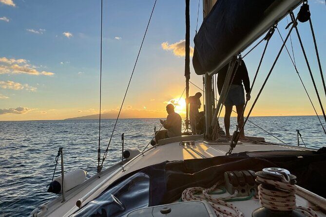 3-Hour Cetacean Watching and Snorkeling Tour in Tenerife - Why This Tour Works for Different Travelers