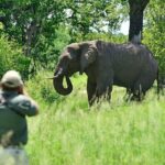 3 Hour Game Drive in Mosi-Oa-Tunya National Park - Experience Overview