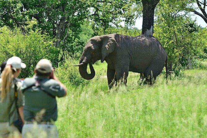 3 Hour Game Drive in Mosi-Oa-Tunya National Park - Experience Overview
