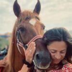 3-hour Horseback Ride Mountain and Beach Morocco - Authentic Experiences and Authentic Horses