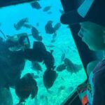 3 Hour Panorama by Semi Submarine Cruise w/ Transfer in Hurghada - Who Is This Tour Best For?
