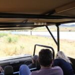 3 Hour Pilanesberg Afternoon Open Vehicle safari drive (Self drive) - Final thoughts