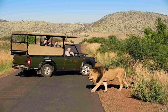 3-Hour Private Game Drive in Pilanesberg National Park - Why This Tour Offers Great Value