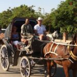 3-Hour Private Luxor Horse Carriage City Tour - What’s Included and What’s Not