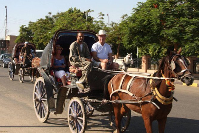 3-Hour Private Luxor Horse Carriage City Tour - What’s Included and What’s Not