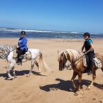 3-hour Private Ride between beach and dunes - Who Will Love This Tour?