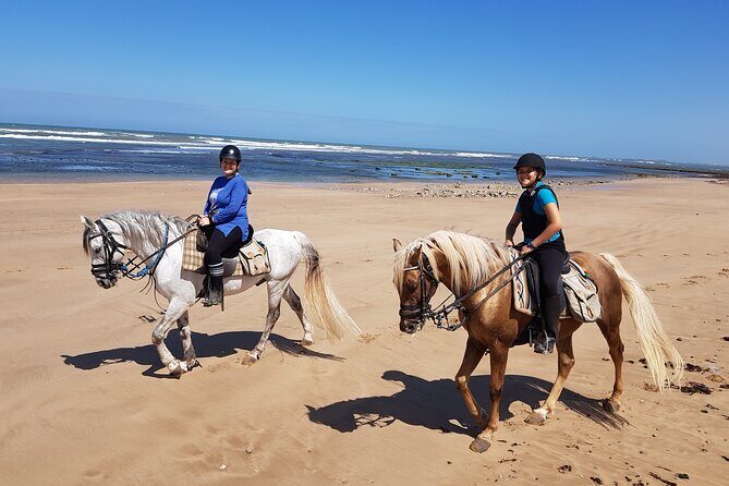3-hour Private Ride between beach and dunes - Who Will Love This Tour?