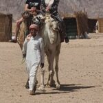 3 Hour Quad Biking Bedouin Village and Camels in Hurghada - The Practical Details