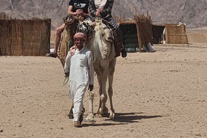 3 Hour Quad Biking Bedouin Village and Camels in Hurghada - The Practical Details