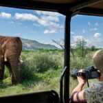 3-Hour Scheduled Safari Game Drive in Pilanesberg National Park - Who Should Book This Tour?