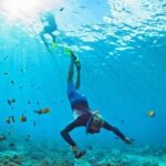 3 Hour Snorkeling and Dolphin Watching Experience in Muscat - Who Should Book This Tour?