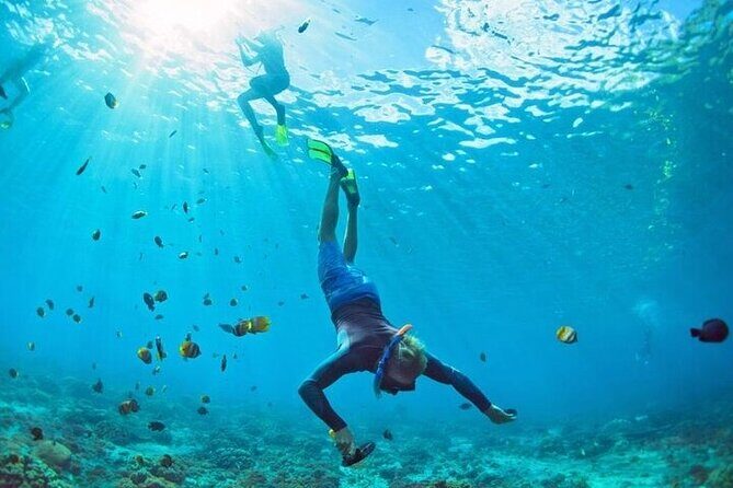 3 Hour Snorkeling and Dolphin Watching Experience in Muscat - Who Should Book This Tour?