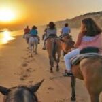 3-Hour Swim with Horses and Romantic Dinner from Hurghada hotels - Practical Details & Tips