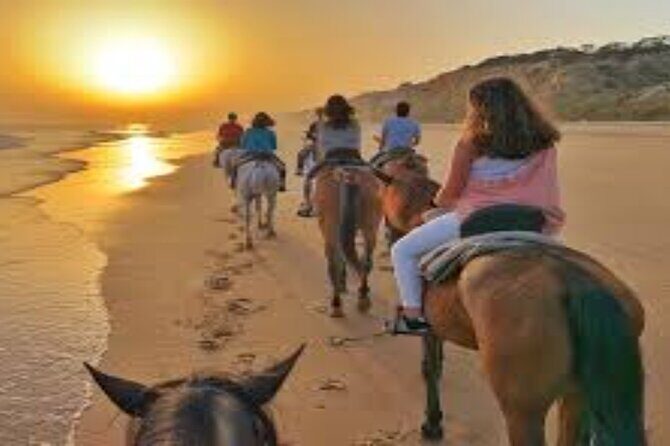 3-Hour Swim with Horses and Romantic Dinner from Hurghada hotels - Practical Details & Tips