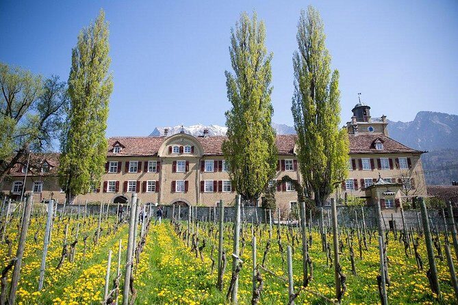 3 Hour Unique Wine Tour - Half Day in Swiss Alps - Final Thoughts: Is This the Right Experience for You?
