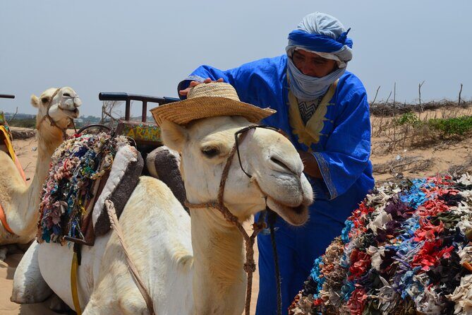 3 hours Camel Ride in Essaouira, beach and dunes - Family-Friendly and Practical Aspects