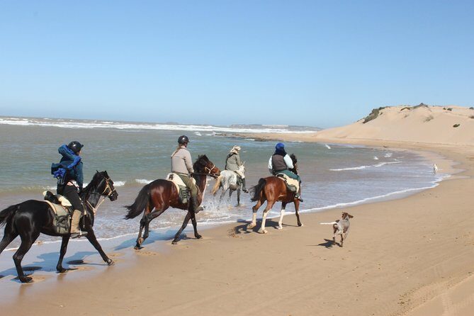 3 Hours Horse Riding with Dinner and Overnight Berber Camp - Authentic Experiences and What Makes This Tour Special